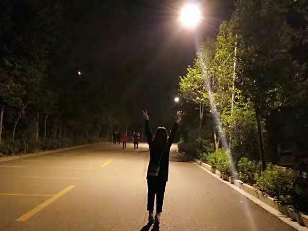 瓜子故事丨愿你学会,笑着低下头! 瓜子故事丨愿你学会,笑着低下头!